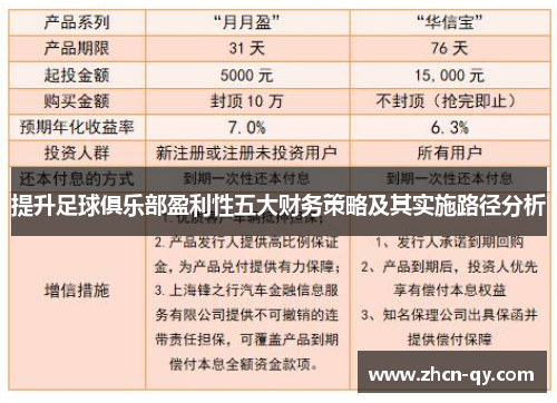 提升足球俱乐部盈利性五大财务策略及其实施路径分析