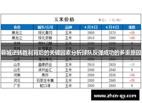 蓉城逆转胜利背后的关键因素分析球队反弹成功的多重原因