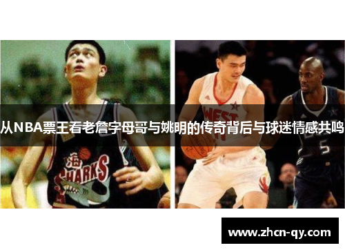 从NBA票王看老詹字母哥与姚明的传奇背后与球迷情感共鸣