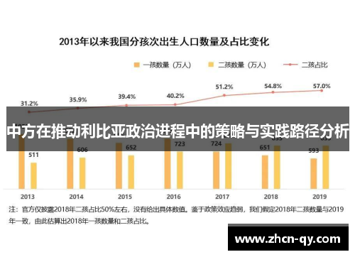中方在推动利比亚政治进程中的策略与实践路径分析
