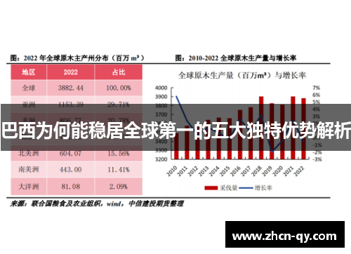 巴西为何能稳居全球第一的五大独特优势解析