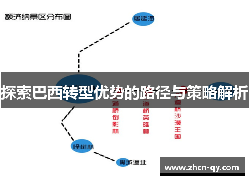 探索巴西转型优势的路径与策略解析